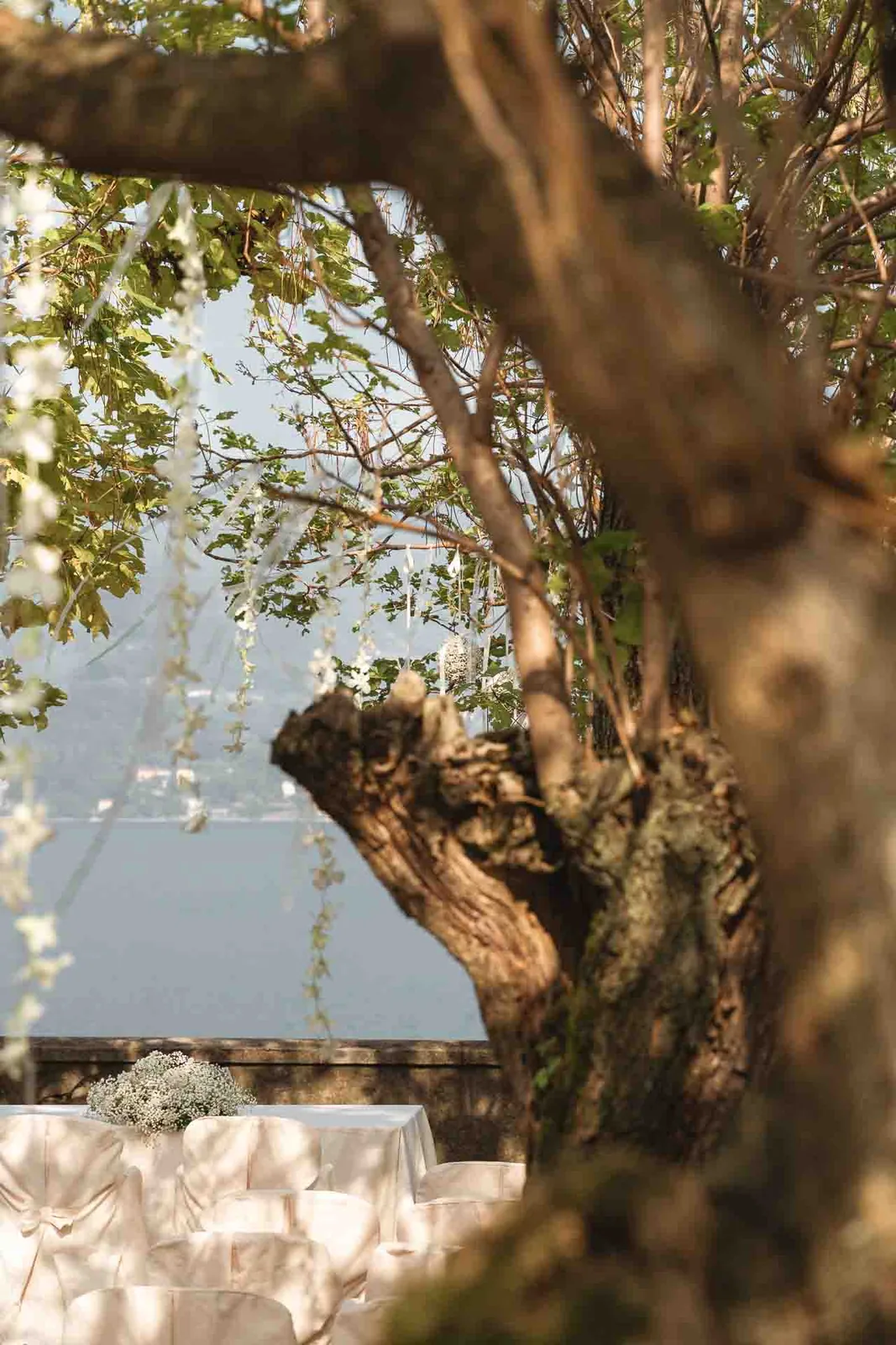 Tra i rami di un albero, la cerimonia allestita sopra il lago