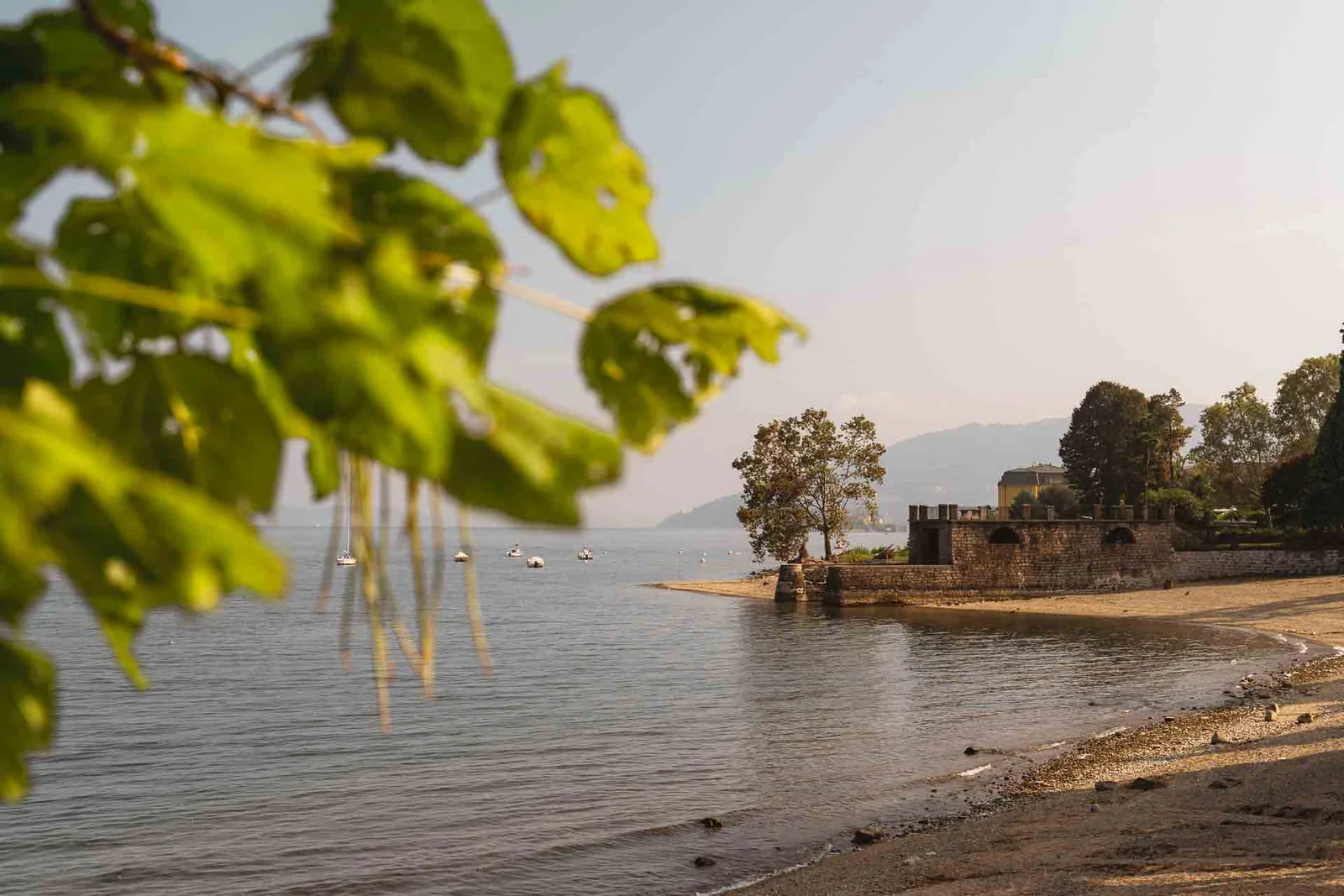 La riva del Lago Maggiore vista tra le foglie