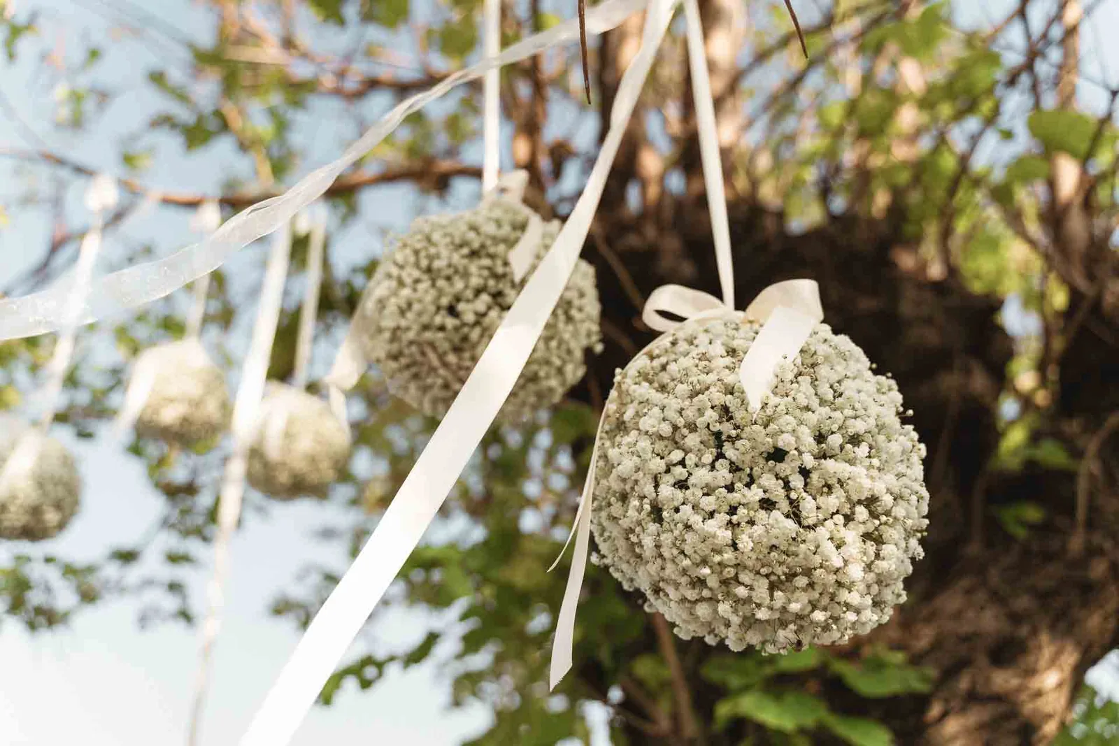 Le sfere di fiori bianchi appese ai rami sopra la cerimonia