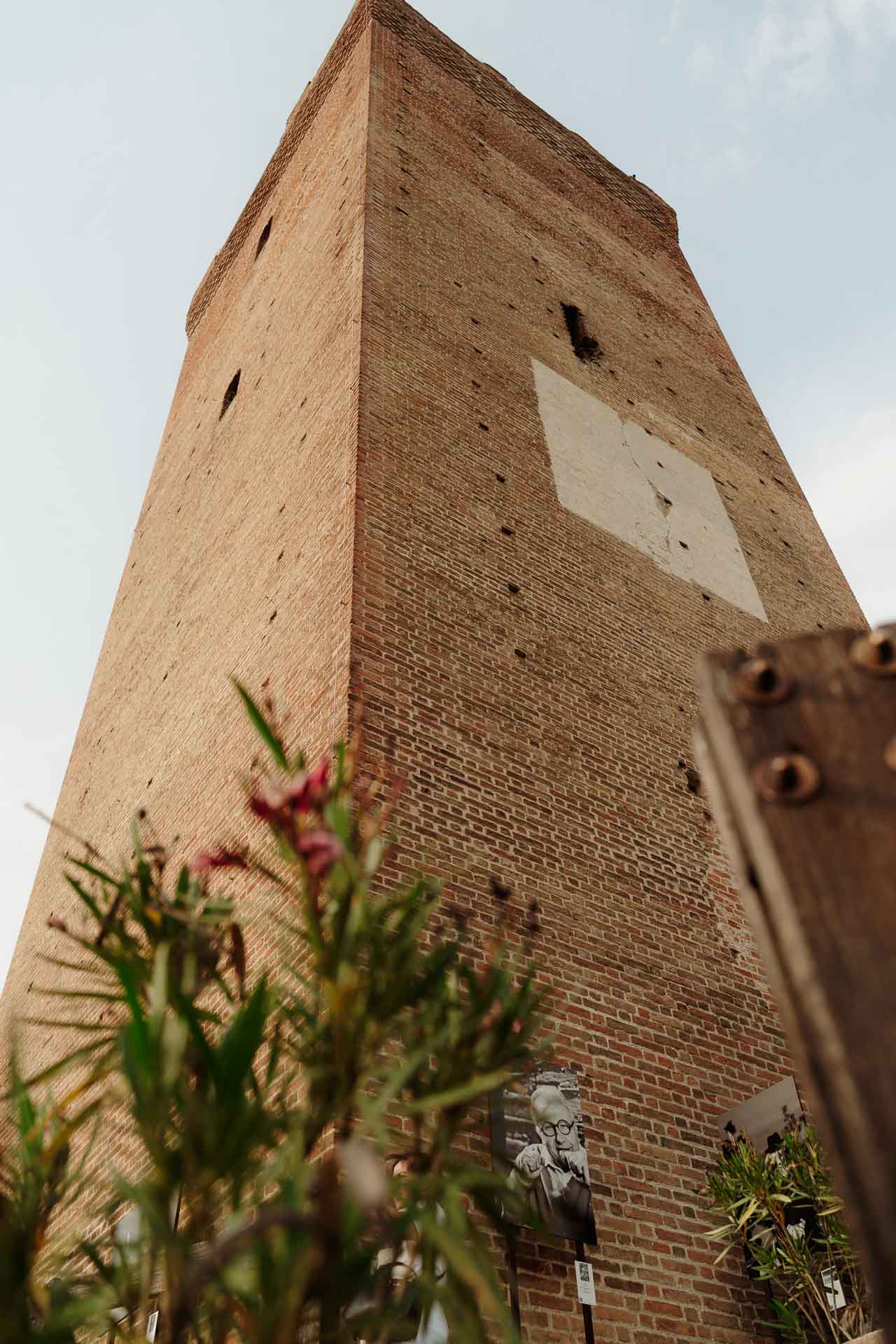 La Torre di Barbaresco vista dal basso, tra i fiori