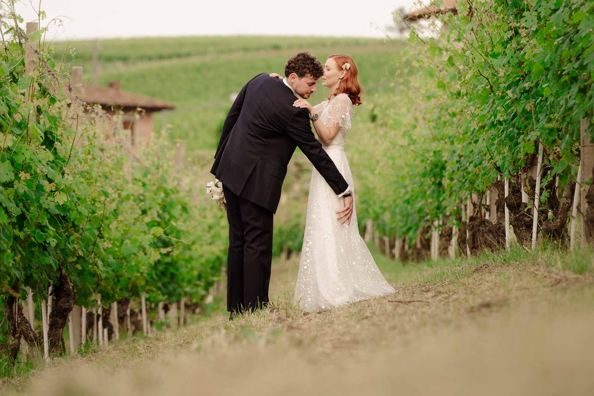 Lo sposo si china a baciare la sposa, tra i filari della vigna