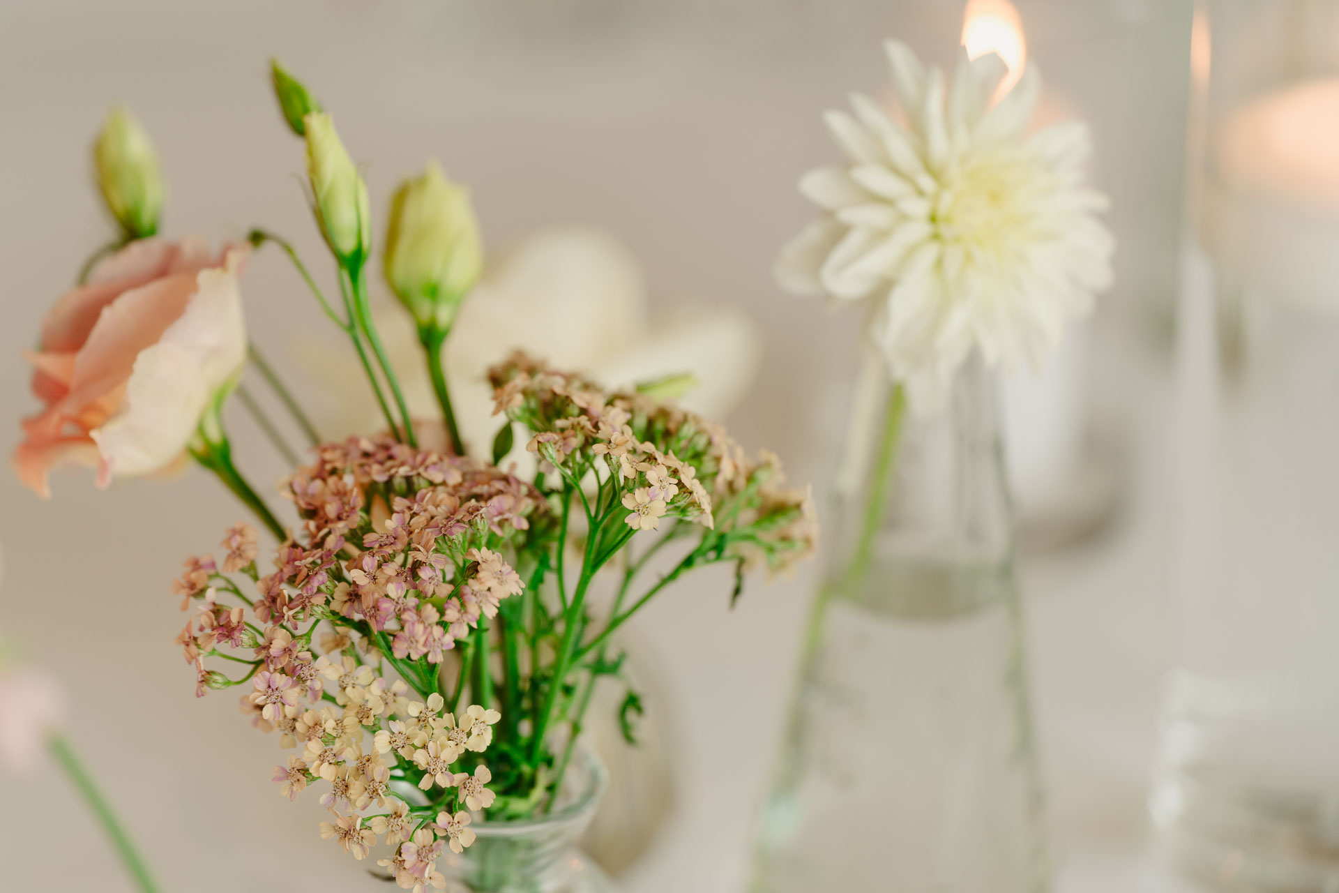 Fiori di campo e una dalia bianca nelle bottiglie di vetro sulla tavola