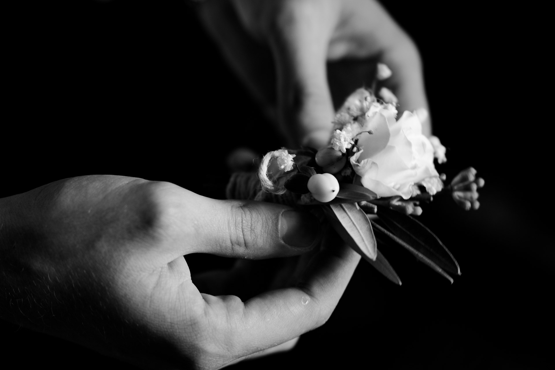 In bianco e nero, due mani tengono il fiore all'occhiello di rose bianche