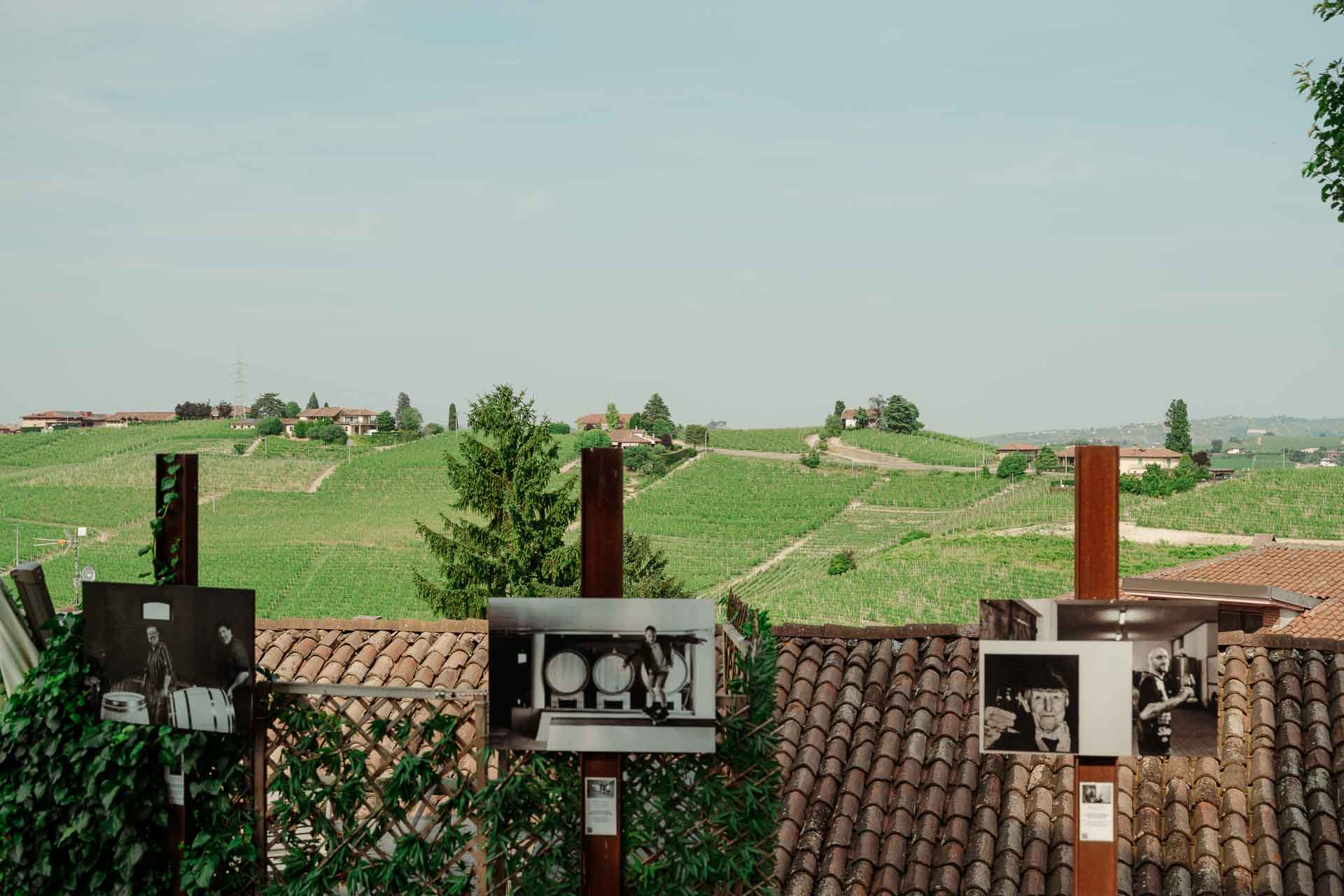 Le colline di vigne oltre i tetti di coppi, con fotografie in bianco e nero esposte sui pali