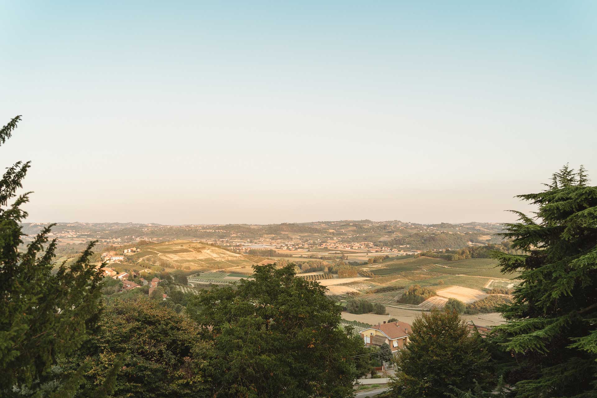 Le colline di vigne al tramonto, viste dalla Tenuta Marchesi Alfieri, a San Martino Alfieri