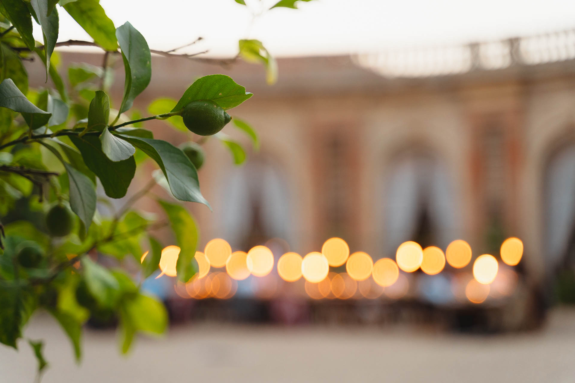 Le luci della cena viste tra le foglie