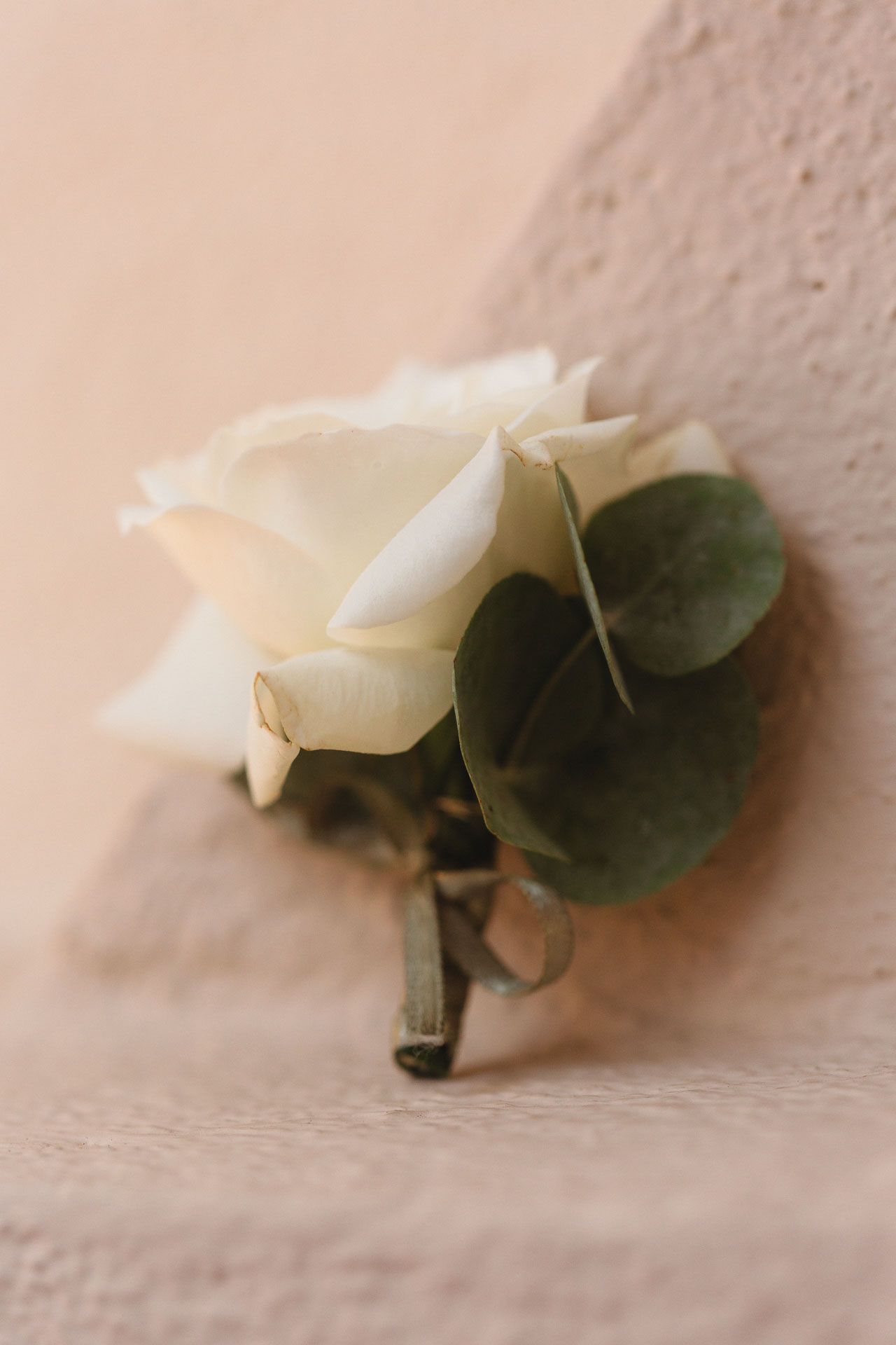Un fiore all'occhiello di rosa bianca ed eucalipto