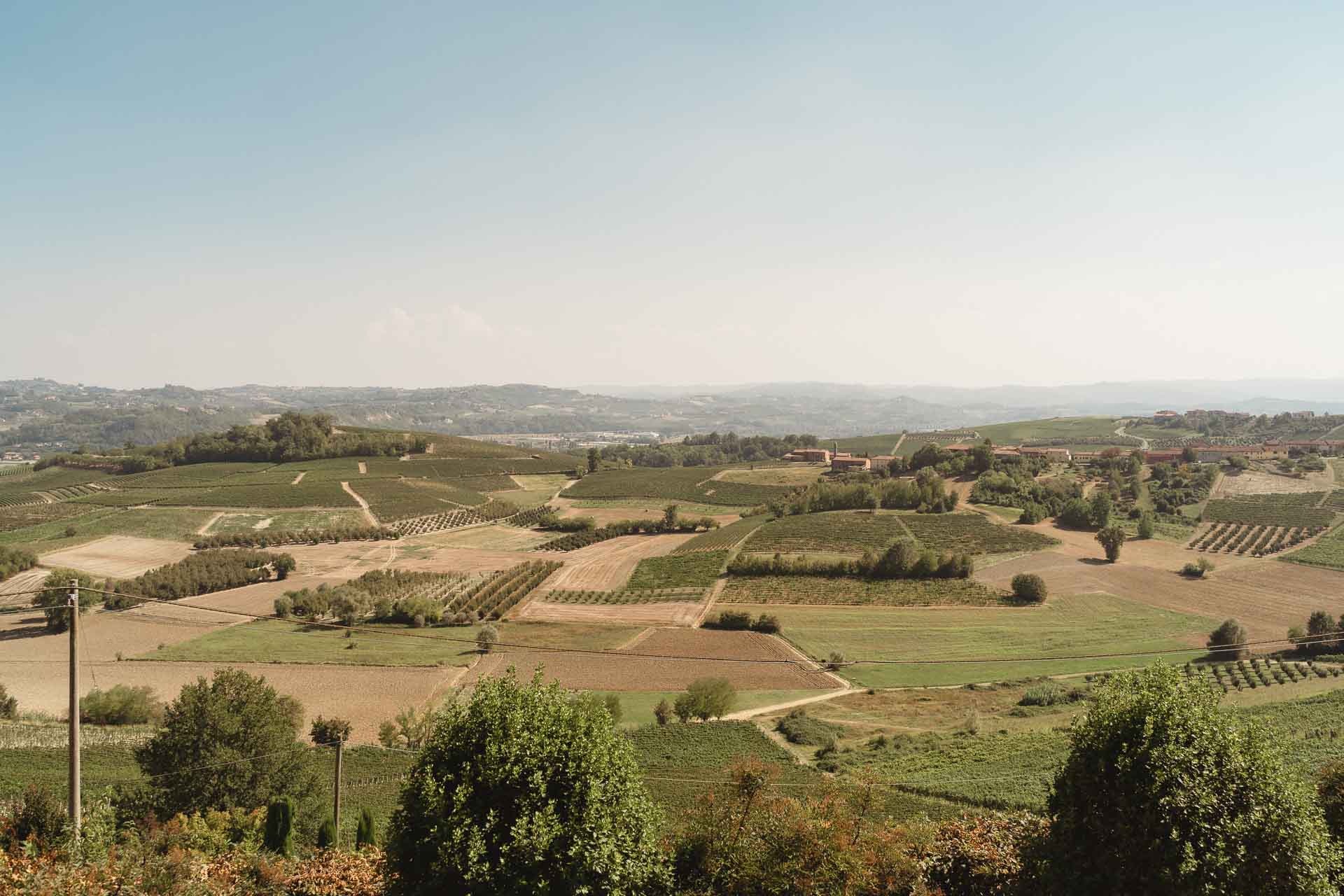 Le colline coltivate a vigna intorno alla tenuta