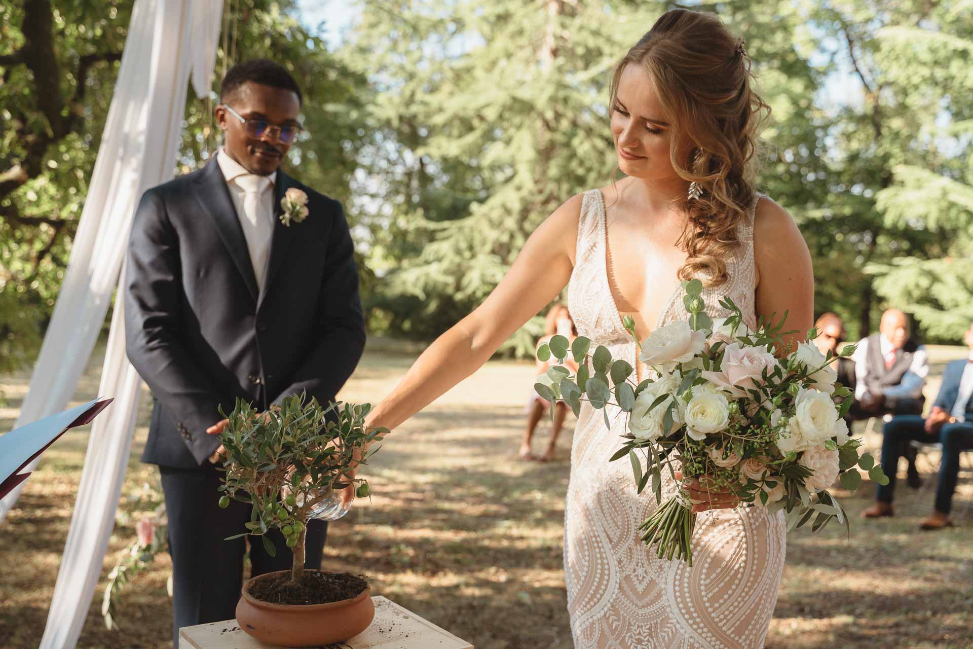 La sposa e lo sposo davanti all'ulivo appena piantato