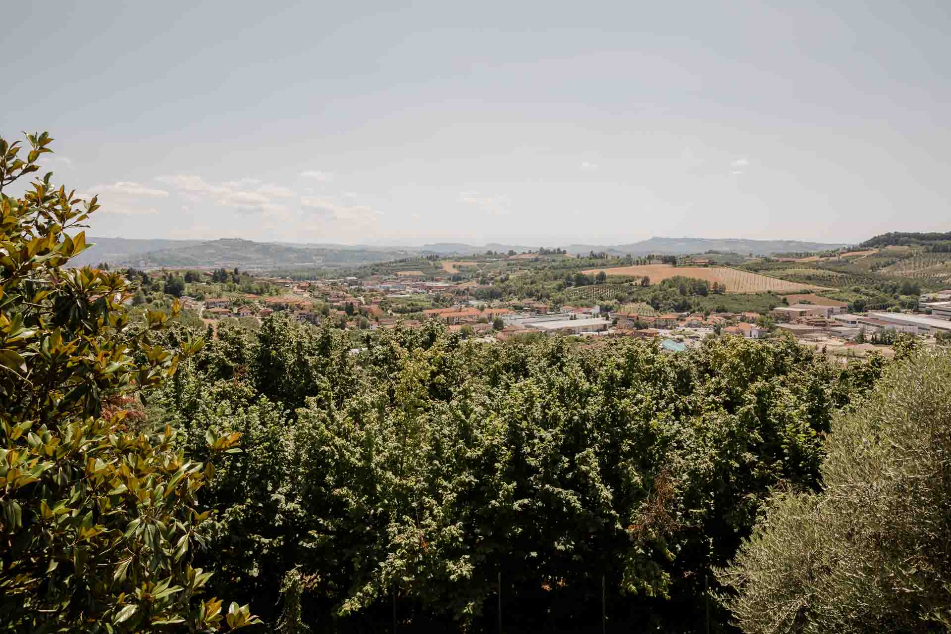 Le colline del Roero dalla Madernassa, oltre il verde degli alberi