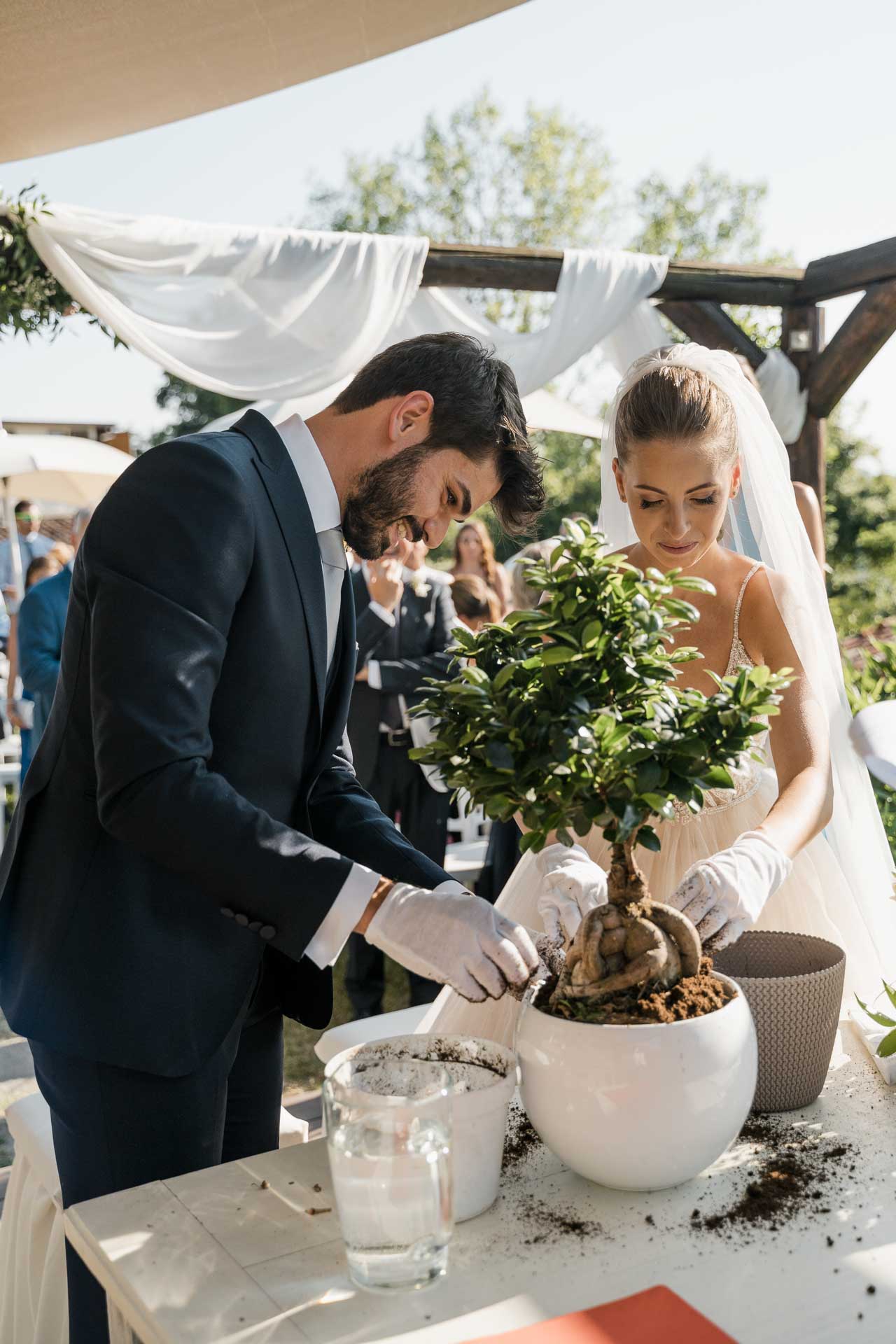 Gli sposi piantano insieme il ficus, con i guanti bianchi