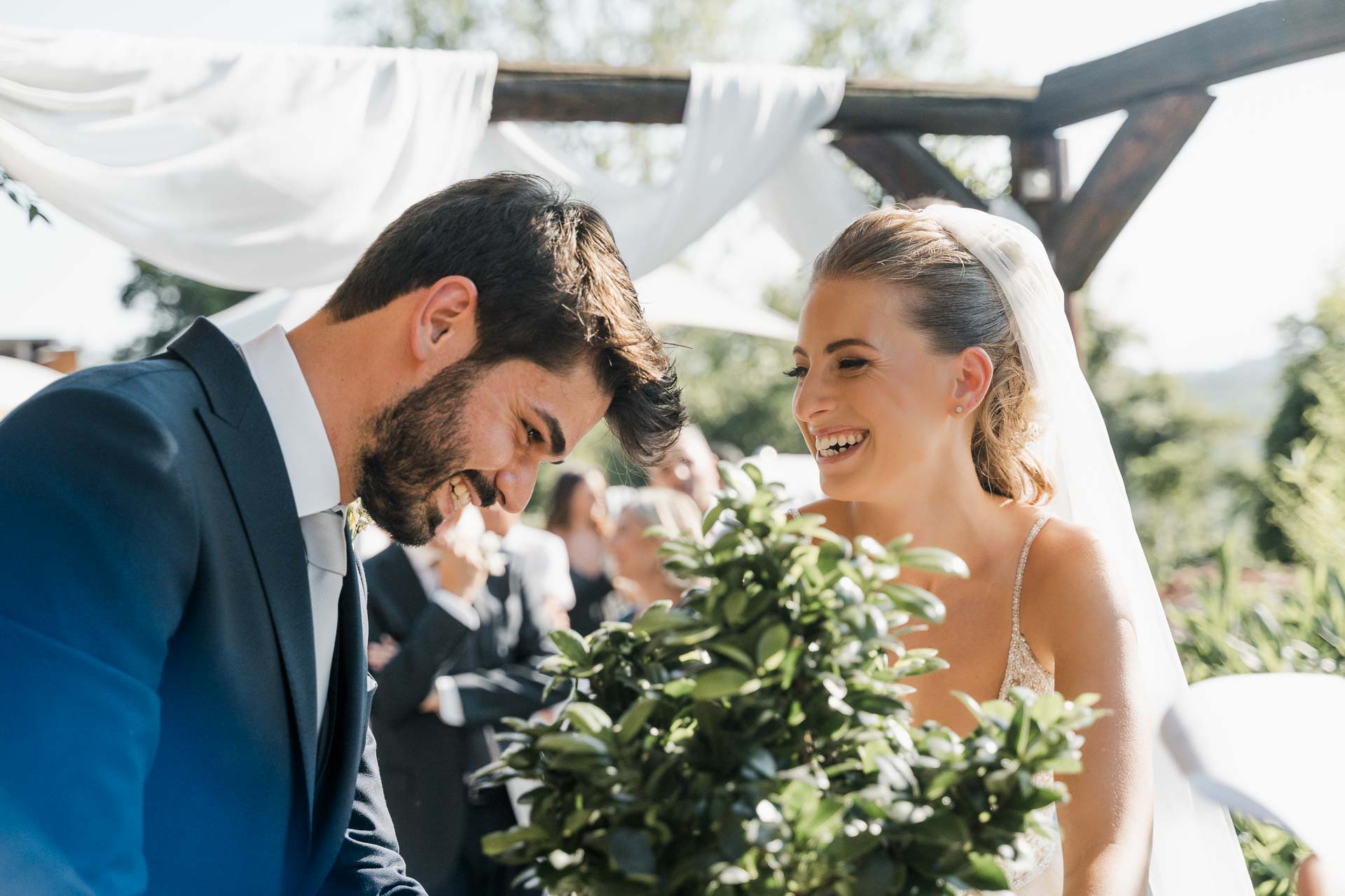 Gli sposi ridono mentre piantano il ficus
