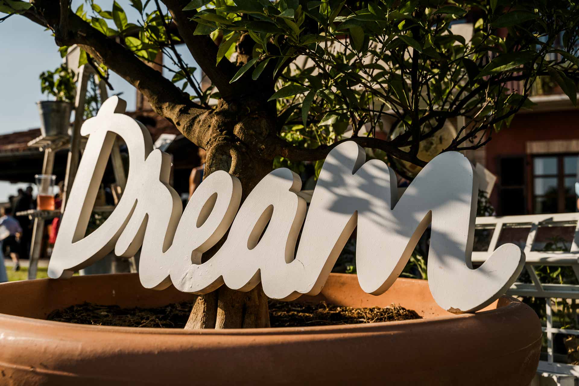 La scritta "Dream" bianca ai piedi di un albero in vaso
