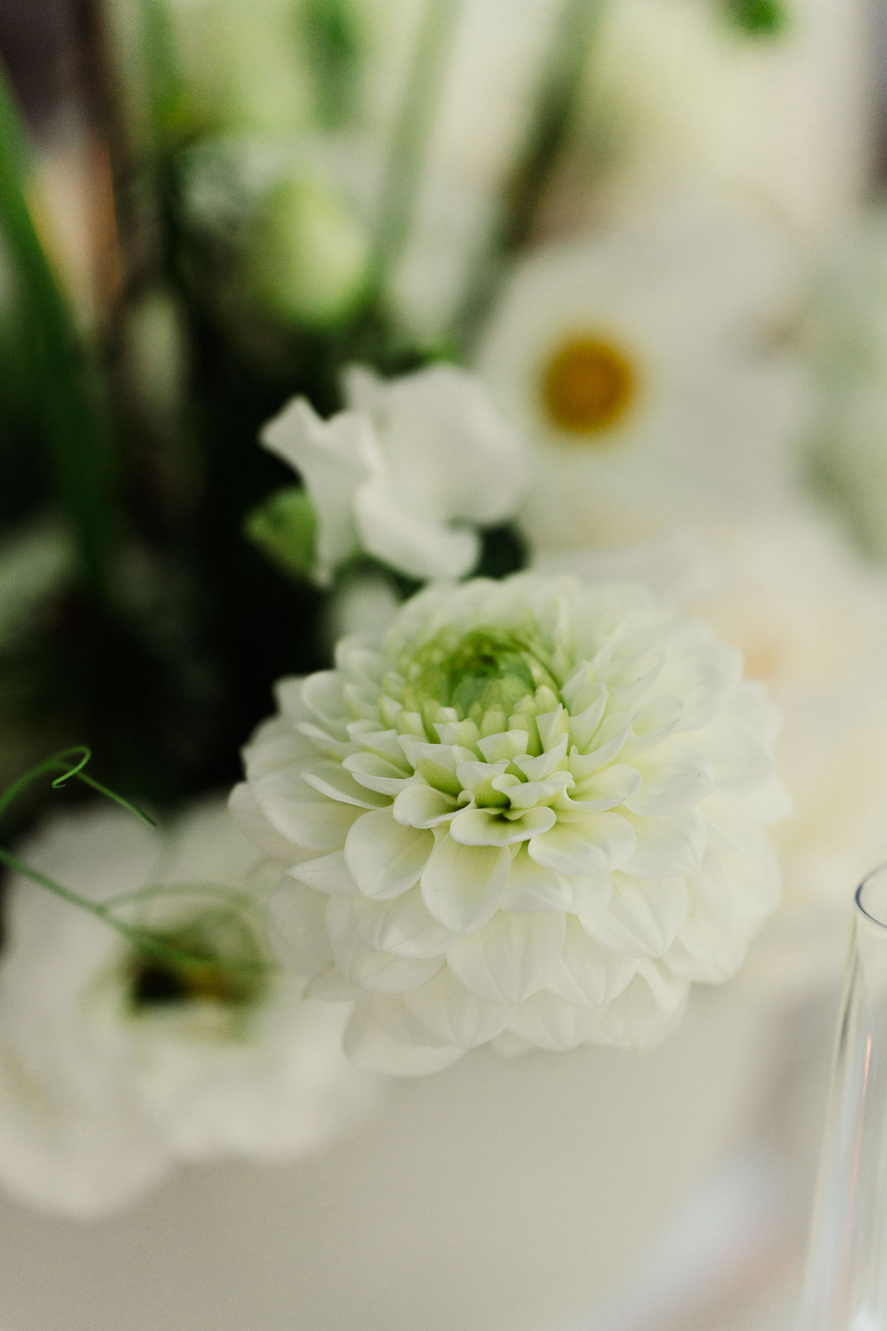 I fiori bianchi del centrotavola, da vicino