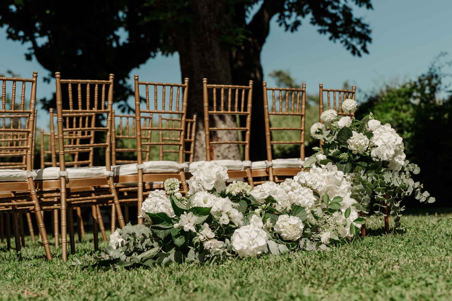 Le sedie dorate della cerimonia e le ortensie bianche sul prato