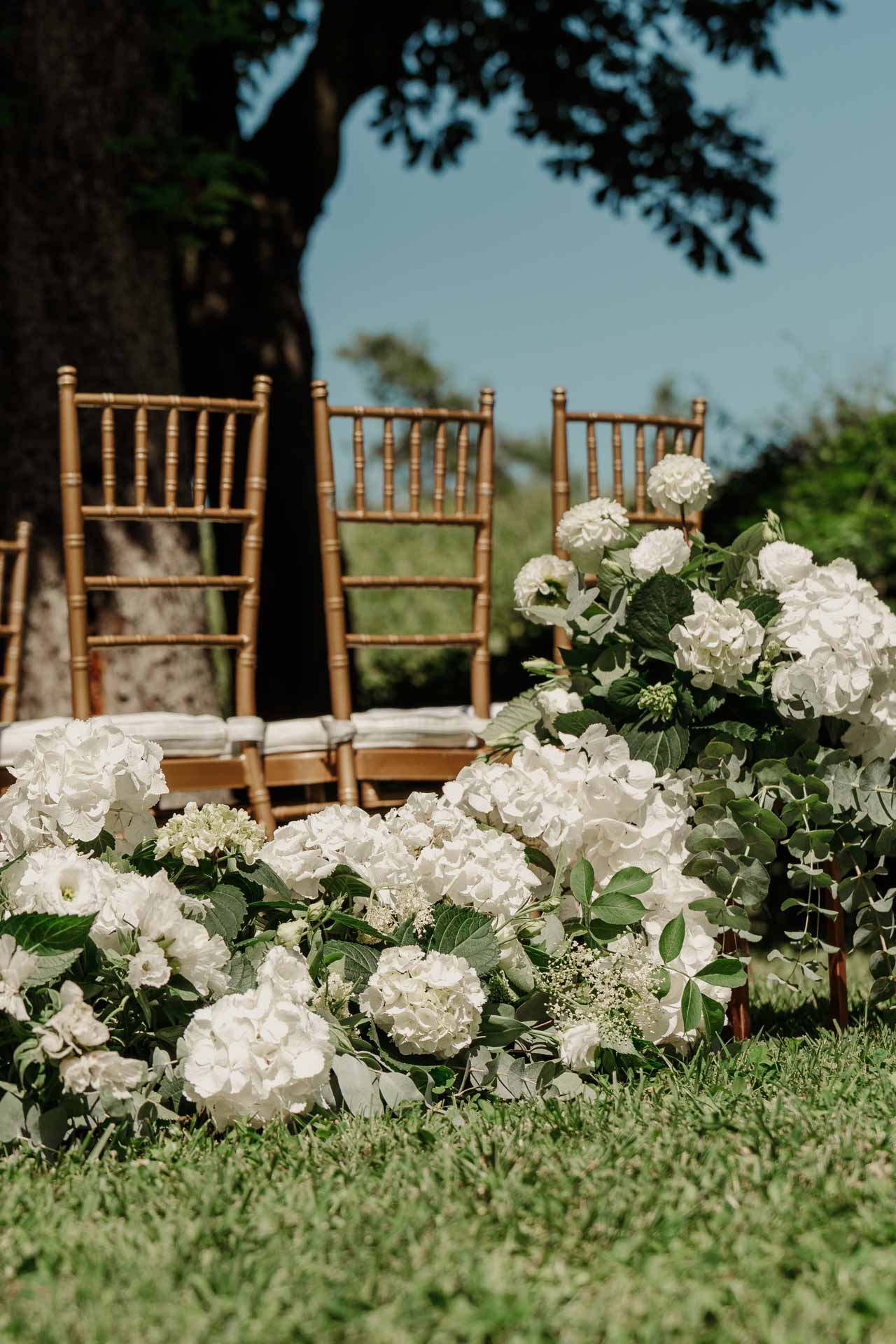 Le ortensie bianche ai piedi delle sedie, sotto il grande albero