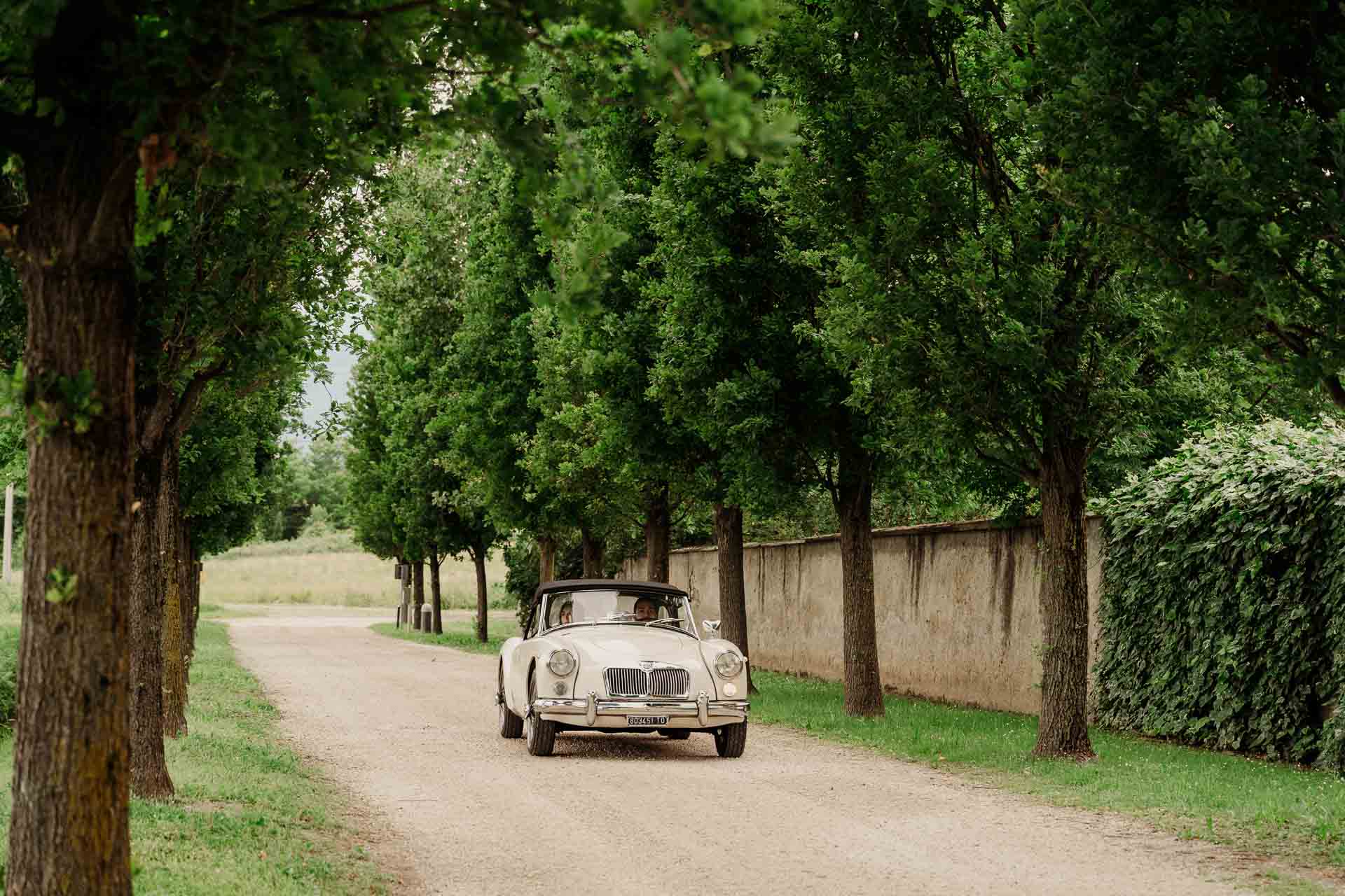 L'auto d'epoca nel viale alberato