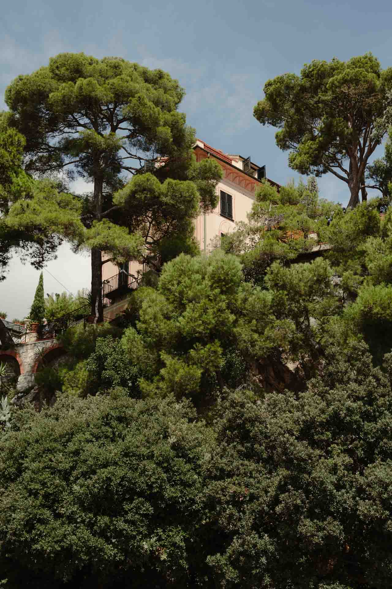 I pini marittimi intorno a una villa sulla collina