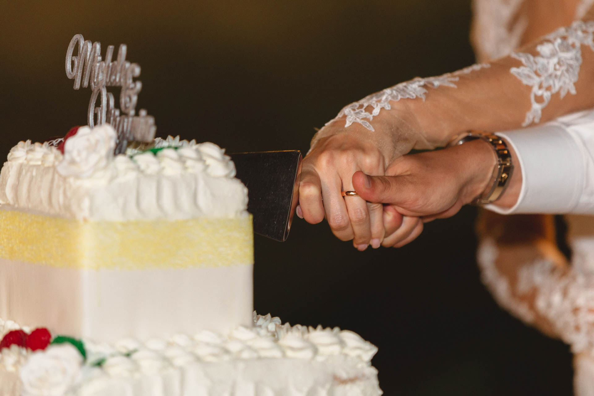 Le mani degli sposi tagliano la torta